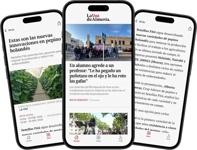 Mockup La Voz de Almería